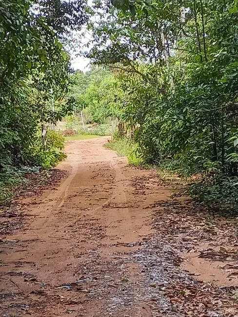 Foto 3 de Terreno / Lote à venda, 236000m2 em Novo Airao - AM