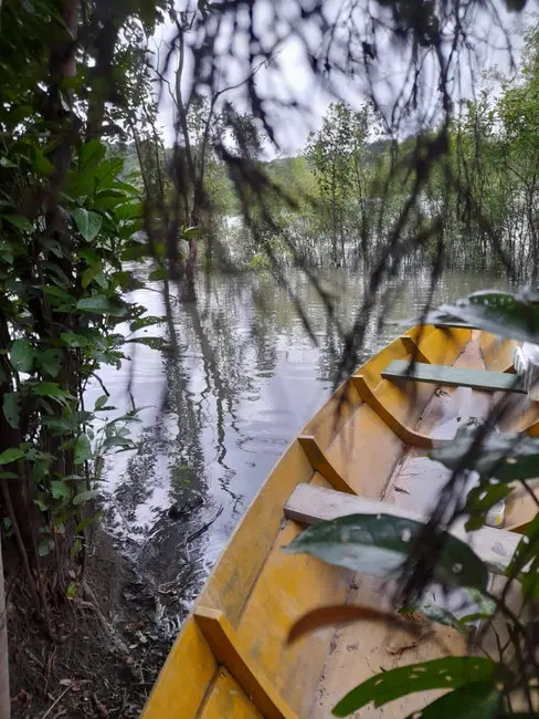 Foto 22 de Chácara à venda, 11000m2 em Iranduba - AM