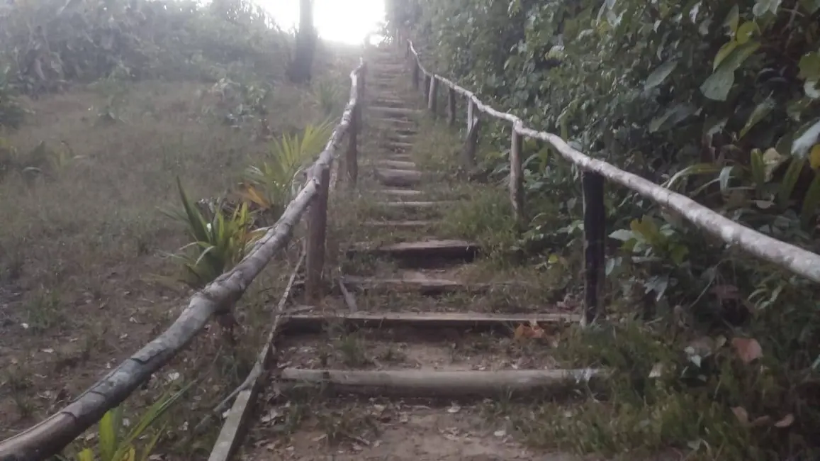 Foto 21 de Chácara à venda, 11000m2 em Iranduba - AM