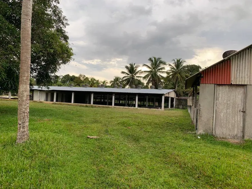 Foto 5 de Fazenda / Haras à venda, 341000m2 em Manaus - AM