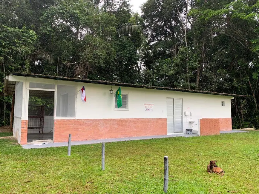 Foto 6 de Fazenda / Haras à venda, 341000m2 em Manaus - AM