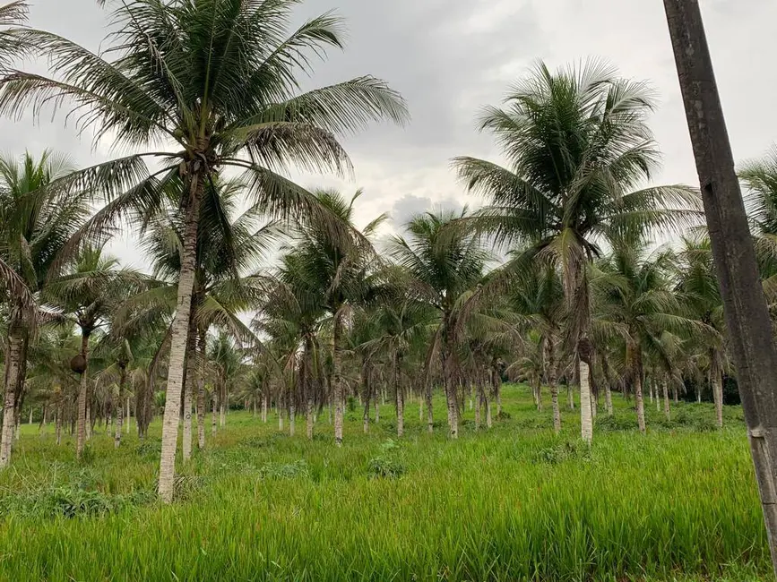 Foto 3 de Fazenda / Haras à venda, 341000m2 em Manaus - AM