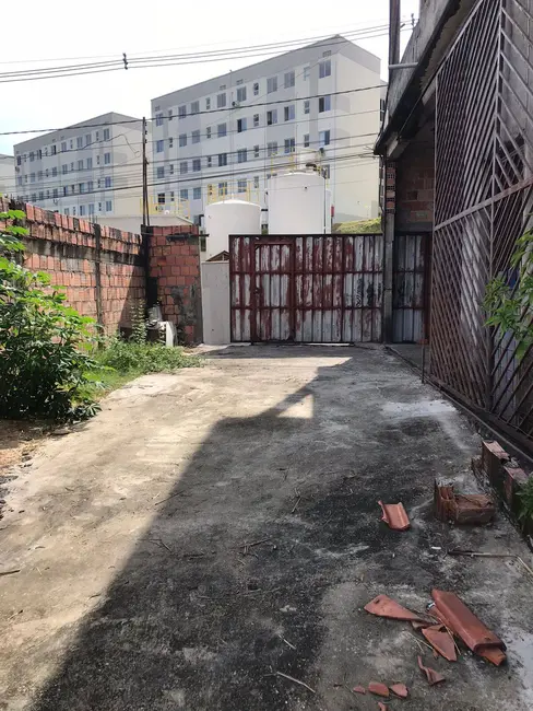 Foto 7 de Terreno / Lote à venda, 1200m2 em Santa Etelvina, Manaus - AM