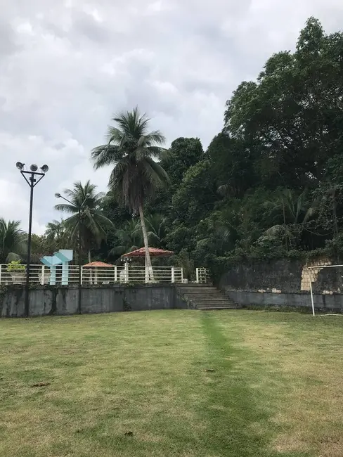 Chácara à venda e para alugar em Tarumã-Açu, Manaus - AM - imagem 5 Foto 5 de Chácara à venda e para alugar em Tarumã-Açu, Manaus - AM
