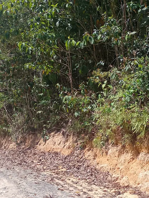Foto 2 de Sítio / Rancho à venda, 110355m2 em Área Rural de Manaus, Manaus - AM