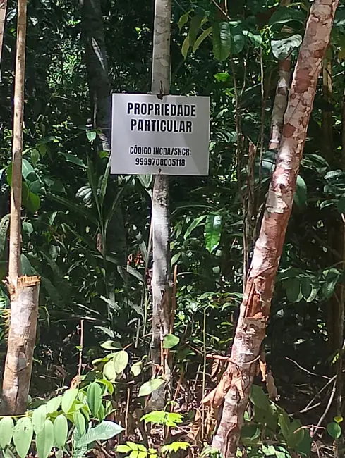 Foto 4 de Sítio / Rancho à venda, 110355m2 em Área Rural de Manaus, Manaus - AM