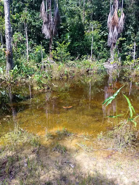 Foto 5 de Sítio / Rancho à venda, 110355m2 em Área Rural de Manaus, Manaus - AM