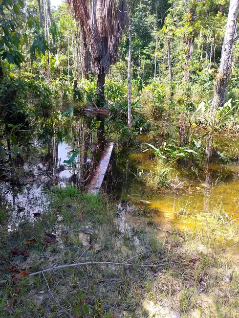 Foto 7 de Sítio / Rancho à venda, 110355m2 em Área Rural de Manaus, Manaus - AM
