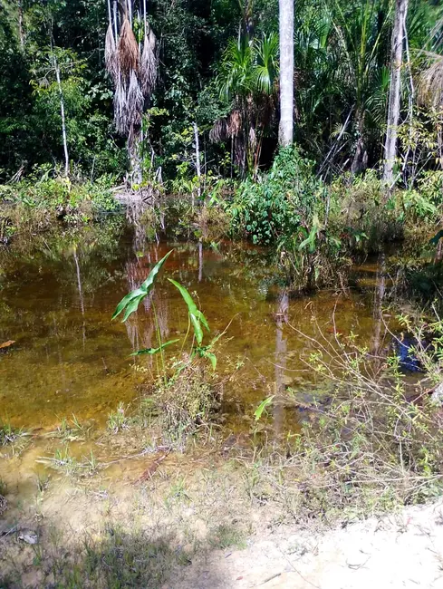 Foto 6 de Sítio / Rancho à venda, 110355m2 em Área Rural de Manaus, Manaus - AM