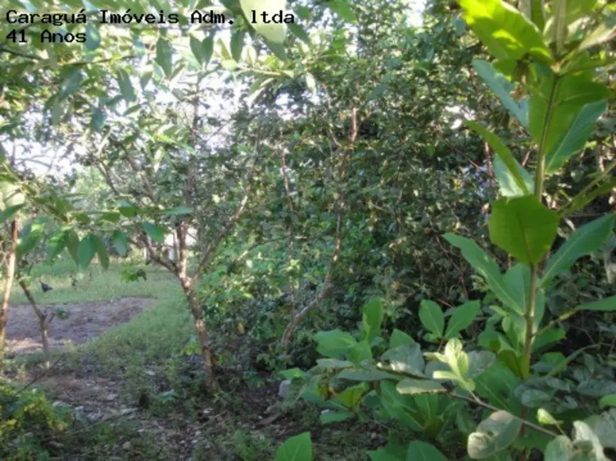 Foto 2 de Terreno / Lote para alugar, 725m2 em Caraguatatuba - SP