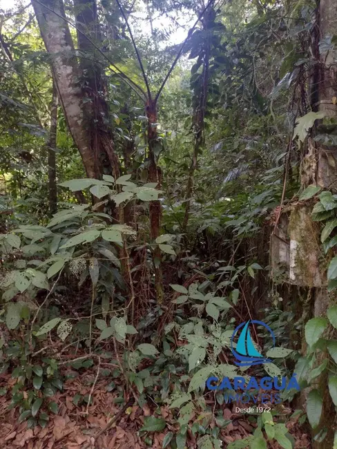 Foto 7 de Terreno / Lote à venda, 913m2 em Park Imperial, Caraguatatuba - SP