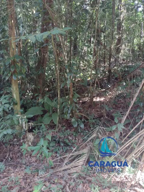 Foto 5 de Terreno / Lote à venda, 420m2 em Park Imperial, Caraguatatuba - SP