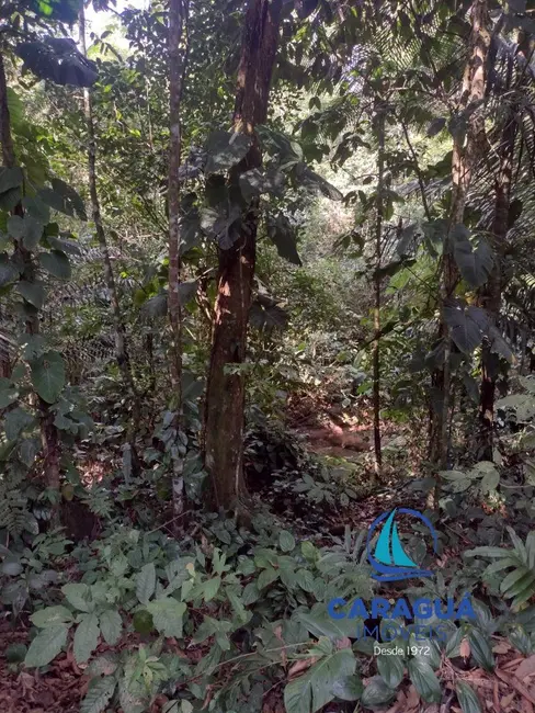 Foto 7 de Terreno / Lote à venda, 576m2 em Park Imperial, Caraguatatuba - SP