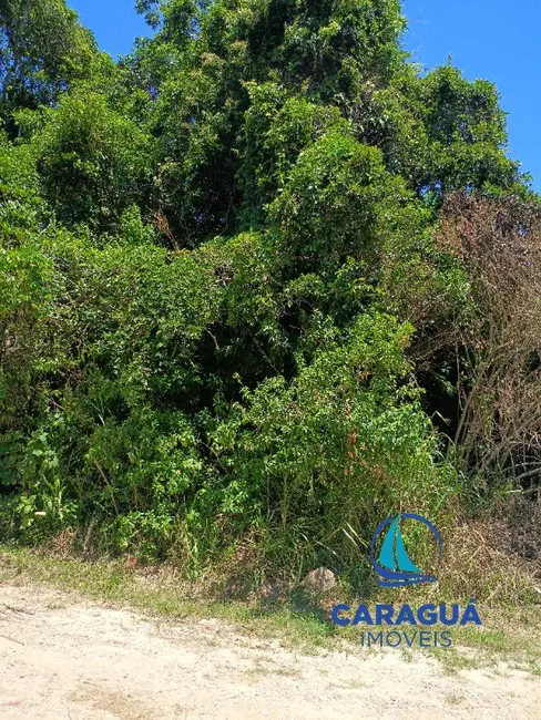 Foto 6 de Terreno / Lote à venda, 360m2 em Loteamento Estância Mirante de Caraguatatuba, Caraguatatuba - SP