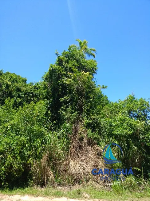 Foto 5 de Terreno / Lote à venda, 360m2 em Loteamento Estância Mirante de Caraguatatuba, Caraguatatuba - SP