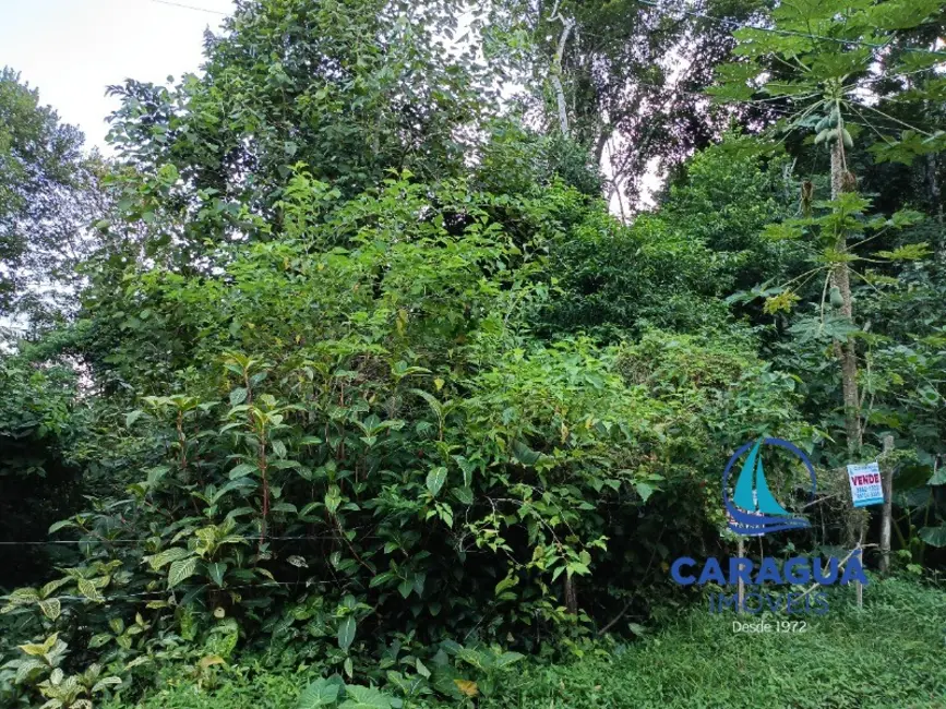 Foto 3 de Terreno / Lote à venda, 360m2 em Verde Mar, Caraguatatuba - SP