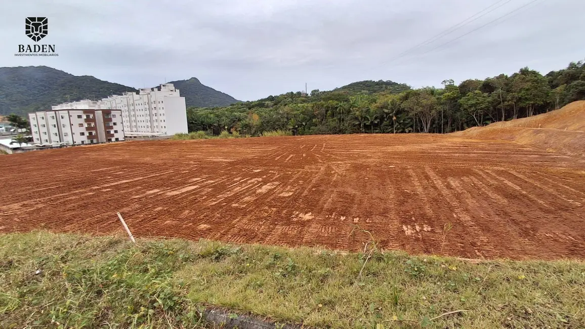 Terreno / Lote à venda, 12000m2 em Camboriu - SC - imagem 3 Foto 3 de Terreno / Lote à venda, 12000m2 em Camboriu - SC