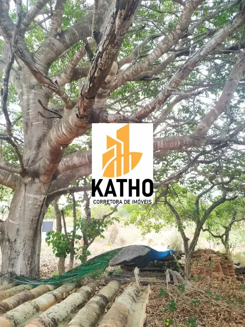 Foto 9 de Terreno / Lote à venda, 1115m2 em Centro, Jequitiba - MG