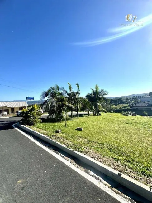 Foto 5 de Terreno / Lote à venda, 513m2 em Criciuma - SC