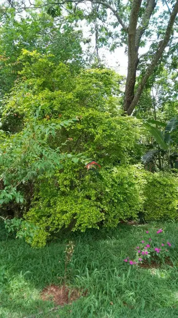 Terreno / Lote à venda, 700m2 em Centro, Piracaia - SP - imagem 4 Foto 4 de Terreno / Lote à venda, 700m2 em Centro, Piracaia - SP