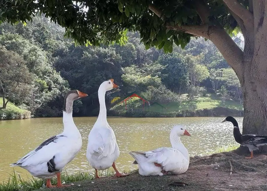 Foto 3 de Casa com 6 quartos à venda e para alugar, 700m2 em Caputera, Aruja - SP
