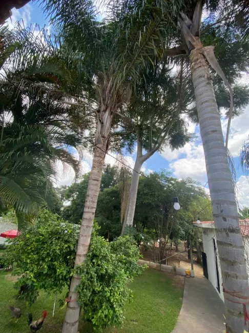 Foto 5 de Chácara com 3 quartos à venda, 2000m2 em Ipero - SP