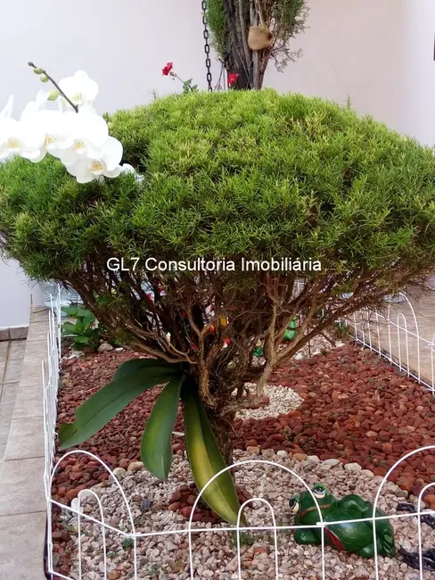 Foto 9 de Casa com 5 quartos à venda, 392m2 em Vila Suíça, Indaiatuba - SP