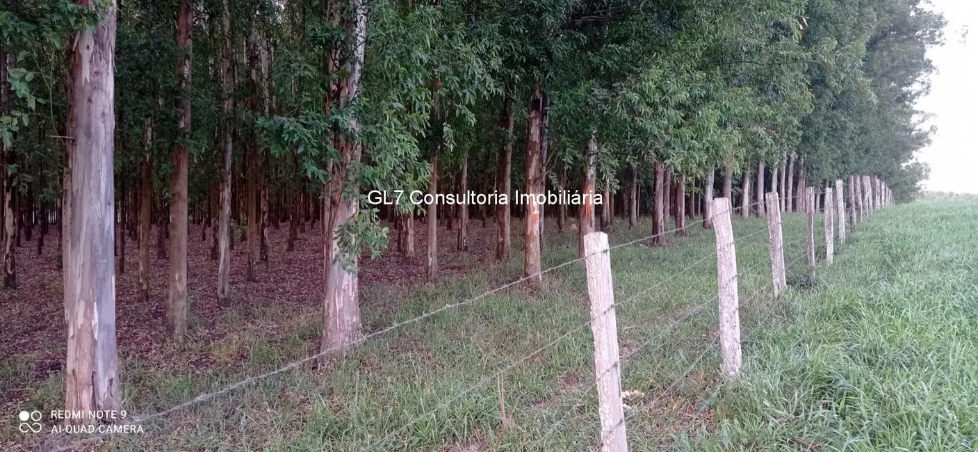Foto 4 de Terreno / Lote à venda em Elias Fausto - SP