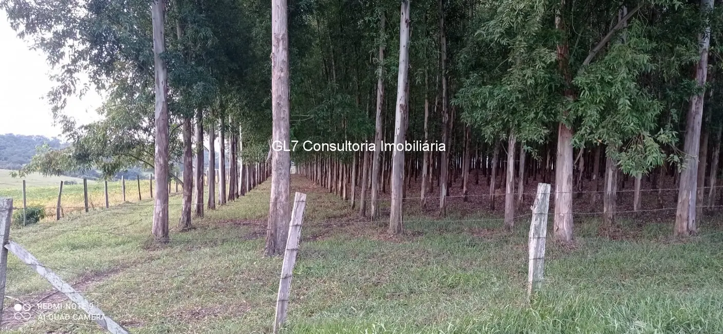 Foto 2 de Terreno / Lote à venda em Elias Fausto - SP