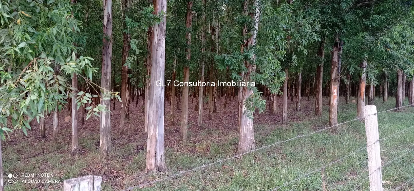 Foto 5 de Terreno / Lote à venda em Elias Fausto - SP