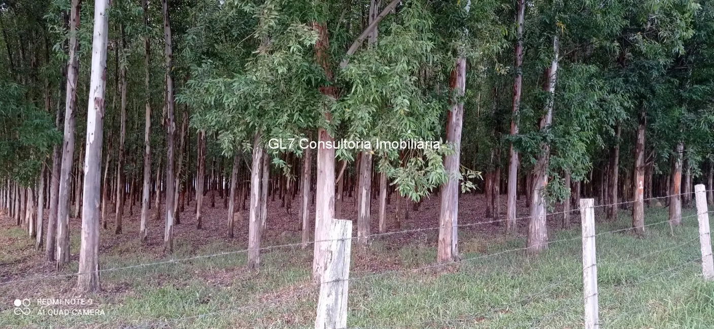 Foto 6 de Terreno / Lote à venda em Elias Fausto - SP