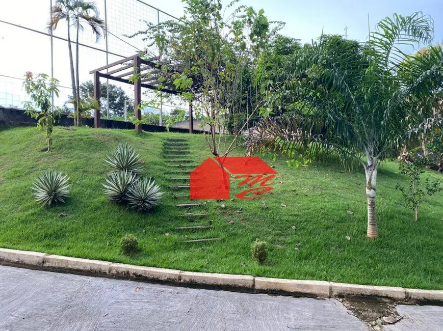 Chácara com 2 quartos à venda, 6000m2 em Ariquemes - RO - imagem 5 Foto 5 de Chácara com 2 quartos à venda, 6000m2 em Ariquemes - RO