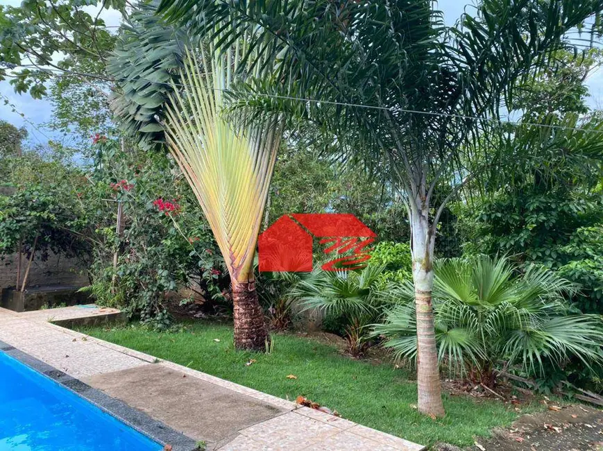 Chácara com 2 quartos à venda, 6000m2 em Ariquemes - RO - imagem 7 Foto 7 de Chácara com 2 quartos à venda, 6000m2 em Ariquemes - RO