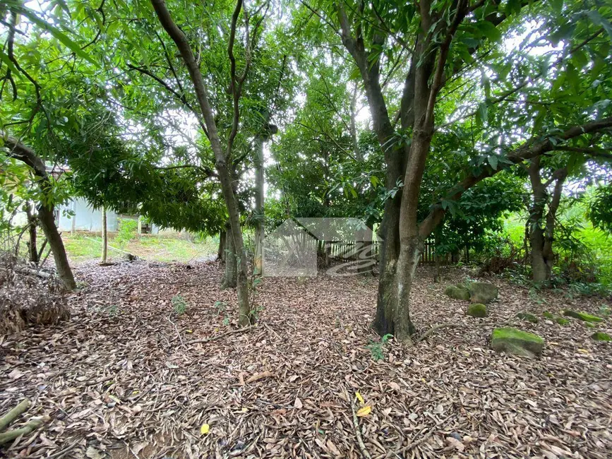 Foto 3 de Casa com 2 quartos à venda, 800m2 em Jardim Jorge Teixeira, Ariquemes - RO