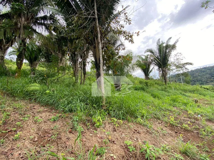 Chácara à venda, 12100m2 em Ariquemes - RO - imagem 8 Foto 8 de Chácara à venda, 12100m2 em Ariquemes - RO