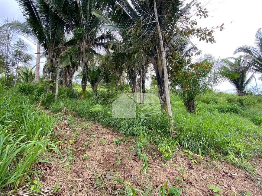 Chácara à venda, 12100m2 em Ariquemes - RO - imagem 9 Foto 9 de Chácara à venda, 12100m2 em Ariquemes - RO