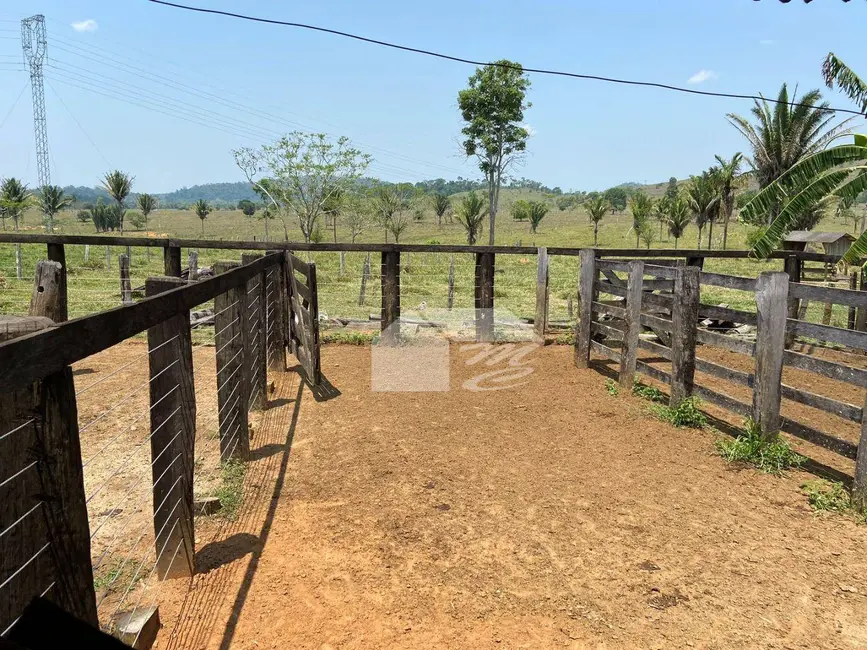 Fazenda / Haras com 3 quartos à venda, 2420000m2 em Ariquemes - RO - imagem 4 Foto 4 de Fazenda / Haras com 3 quartos à venda, 2420000m2 em Ariquemes - RO
