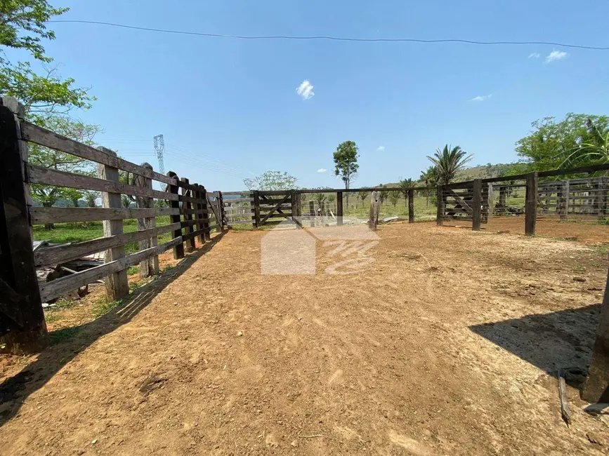 Fazenda / Haras com 3 quartos à venda, 2420000m2 em Ariquemes - RO - imagem 8 Foto 8 de Fazenda / Haras com 3 quartos à venda, 2420000m2 em Ariquemes - RO