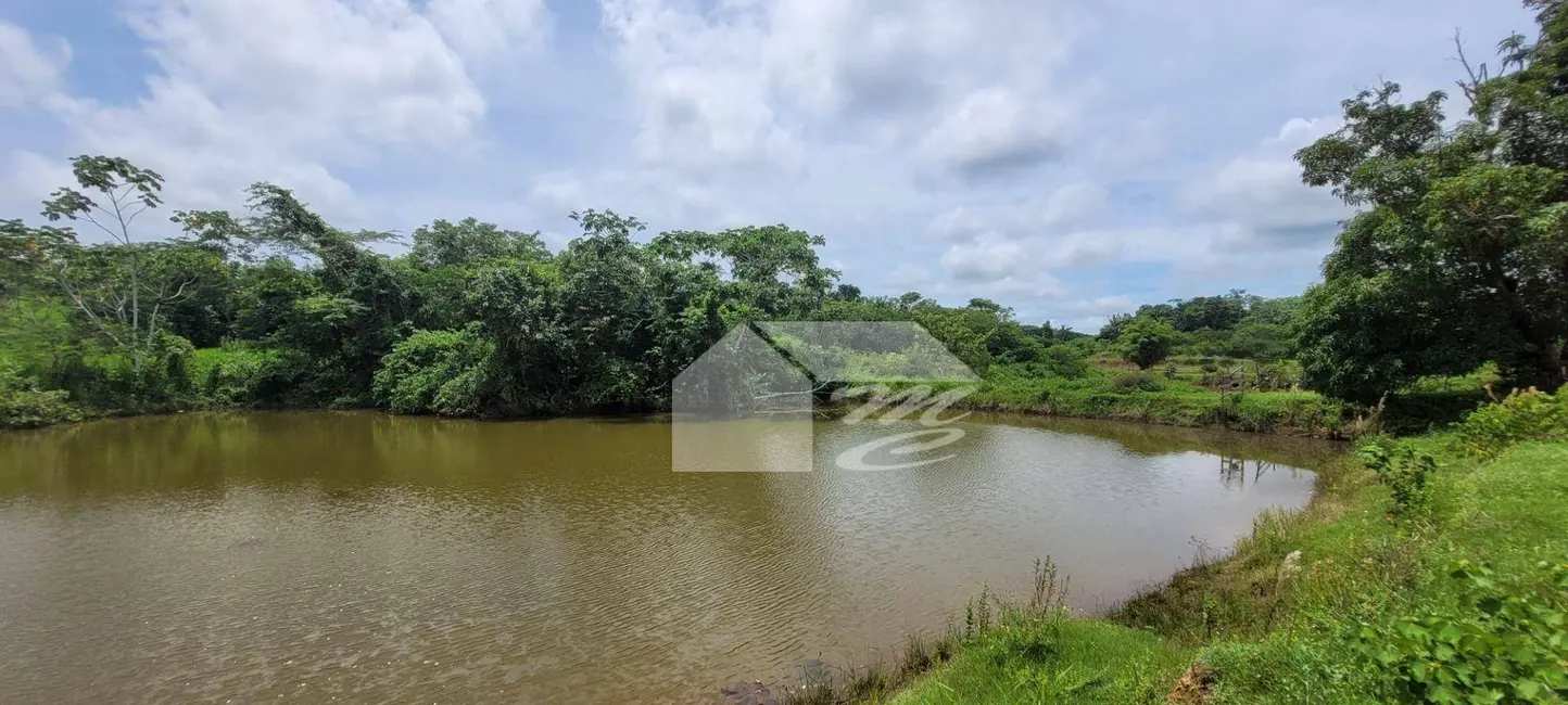Foto 11 de Chácara à venda, 53700m2 em Ariquemes - RO