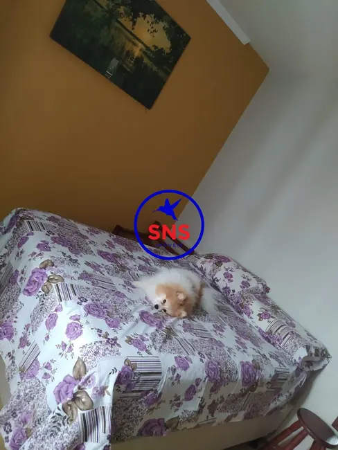 Apartamento com 2 quartos à venda, 59m2 em Bonfim, Campinas - SP - imagem 4 Foto 4 de Apartamento com 2 quartos à venda, 59m2 em Bonfim, Campinas - SP