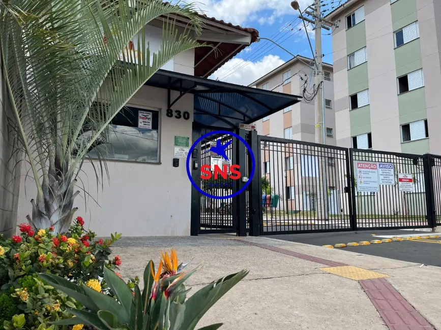 Apartamento com 2 quartos à venda e para alugar, 52m2 em Campinas - SP - imagem 1 Foto 1 de Apartamento com 2 quartos à venda e para alugar, 52m2 em Campinas - SP