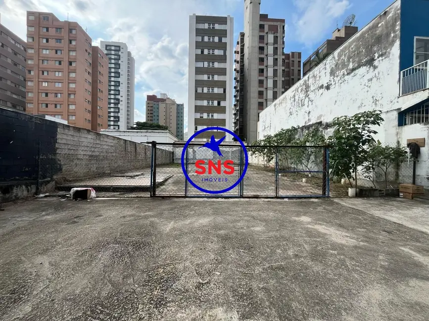 Foto 2 de Terreno / Lote para alugar, 154m2 em Cambuí, Campinas - SP