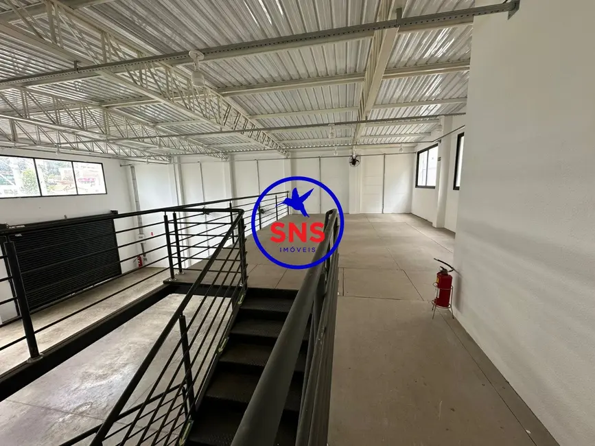 Foto 5 de Armazém / Galpão para alugar, 254m2 em Vila Itapura, Campinas - SP