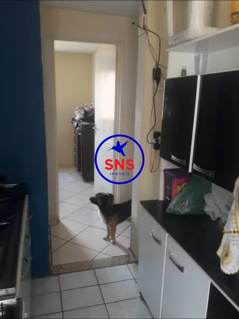 Foto 6 de Apartamento com 2 quartos à venda, 50m2 em Vila San Martin, Campinas - SP