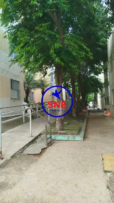 Apartamento com 2 quartos à venda, 47m2 em Residencial Sírius, Campinas - SP - imagem 8 Foto 8 de Apartamento com 2 quartos à venda, 47m2 em Residencial Sírius, Campinas - SP