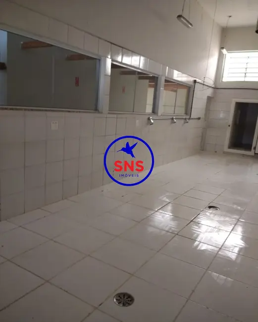 Foto 7 de Armazém / Galpão para alugar, 300m2 em Jardim do Trevo, Campinas - SP