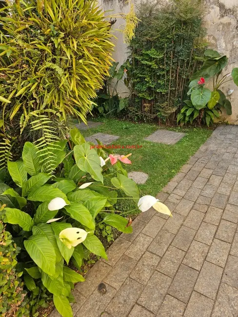 Casa com 3 quartos à venda, 265m2 em Jardim Luzitânia, São Paulo - SP - imagem 6 Foto 6 de Casa com 3 quartos à venda, 265m2 em Jardim Luzitânia, São Paulo - SP