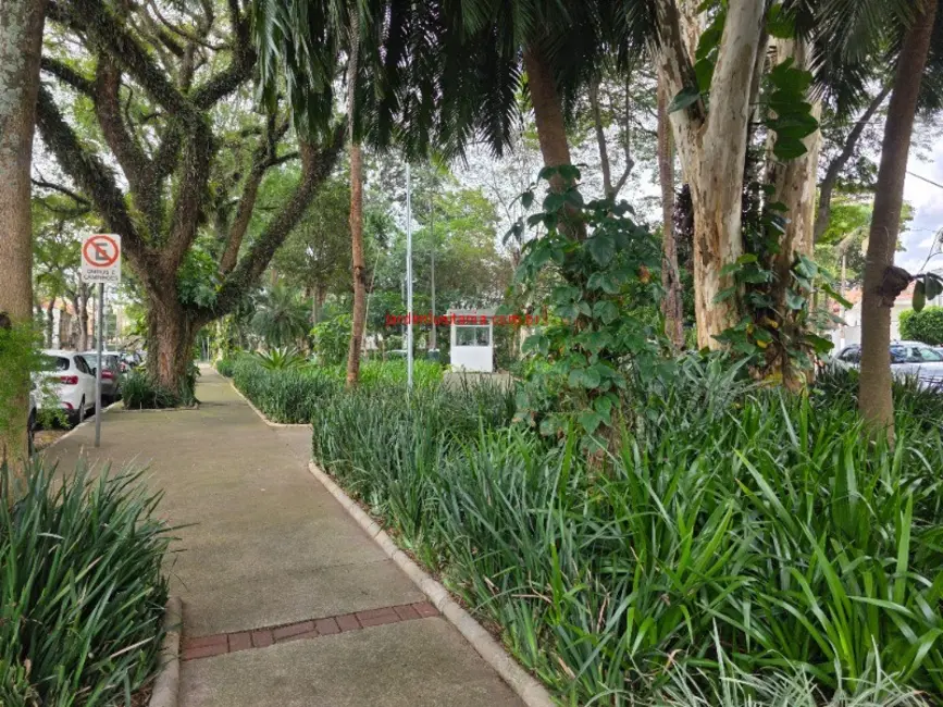 Foto 1 de Casa com 4 quartos à venda e para alugar, 230m2 em Jardim Luzitânia, São Paulo - SP
