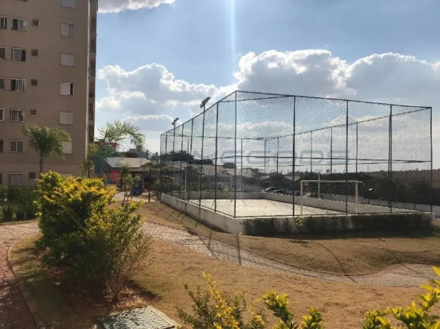Apartamento com 2 quartos à venda, 51m2 em Jardim Myrian Moreira da Costa, Campinas - SP - imagem 5 Foto 5 de Apartamento com 2 quartos à venda, 51m2 em Jardim Myrian Moreira da Costa, Campinas - SP