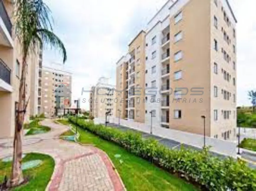 Foto 1 de Apartamento com 3 quartos à venda, 67m2 em Jardim Myrian Moreira da Costa, Campinas - SP